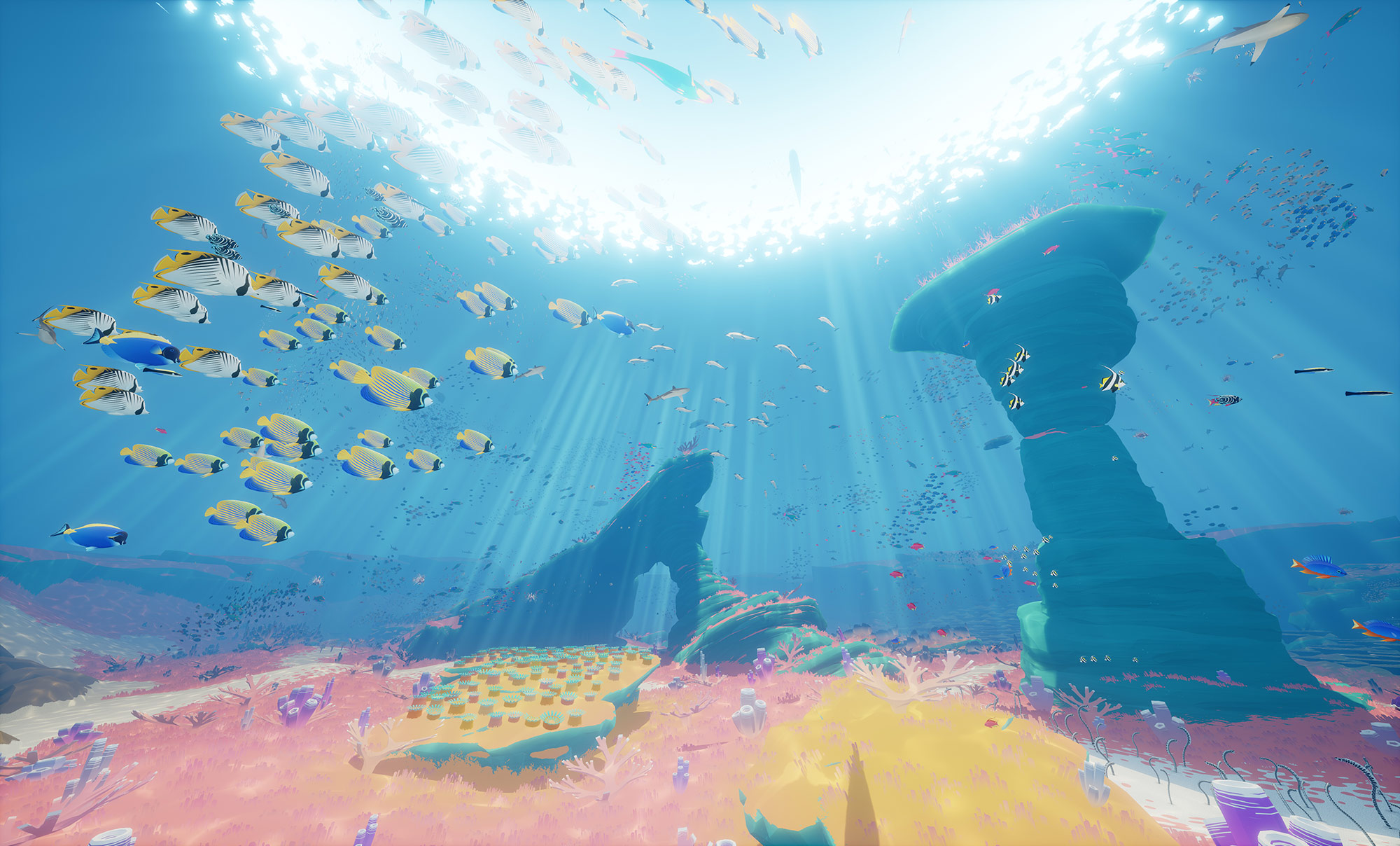 Discovery splash banner for Giant Squid Discord server