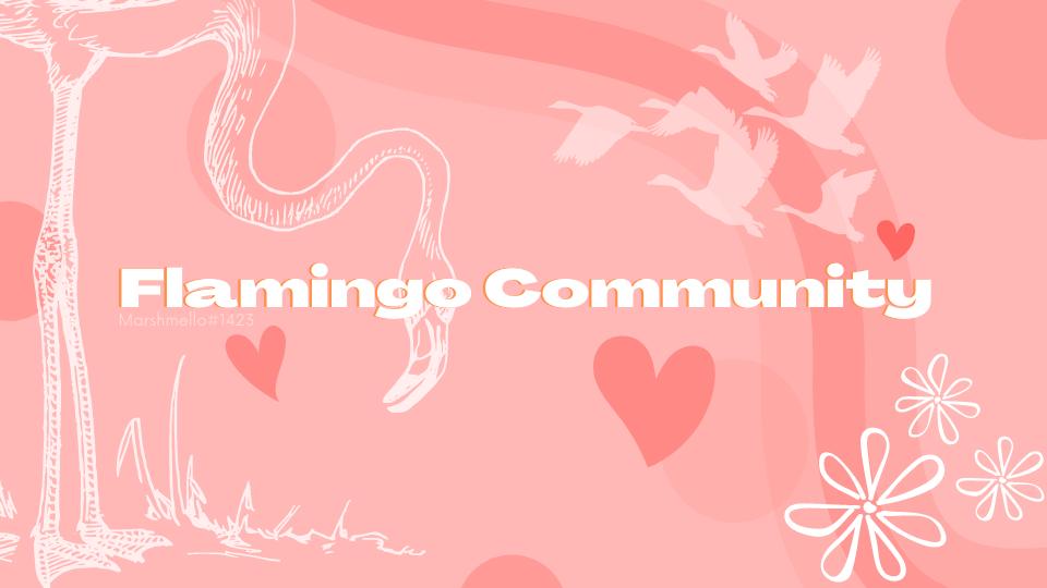 Discovery splash banner for Flamingo community Discord server