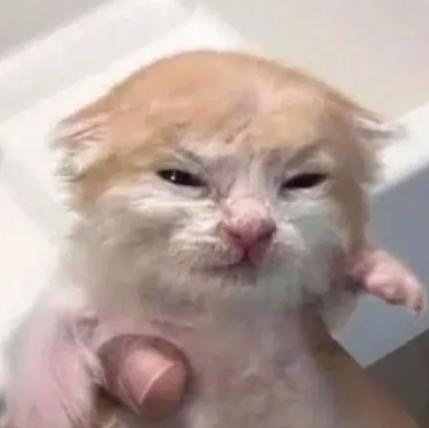 Discovery splash banner for The Boys Co-Op Community Discord server