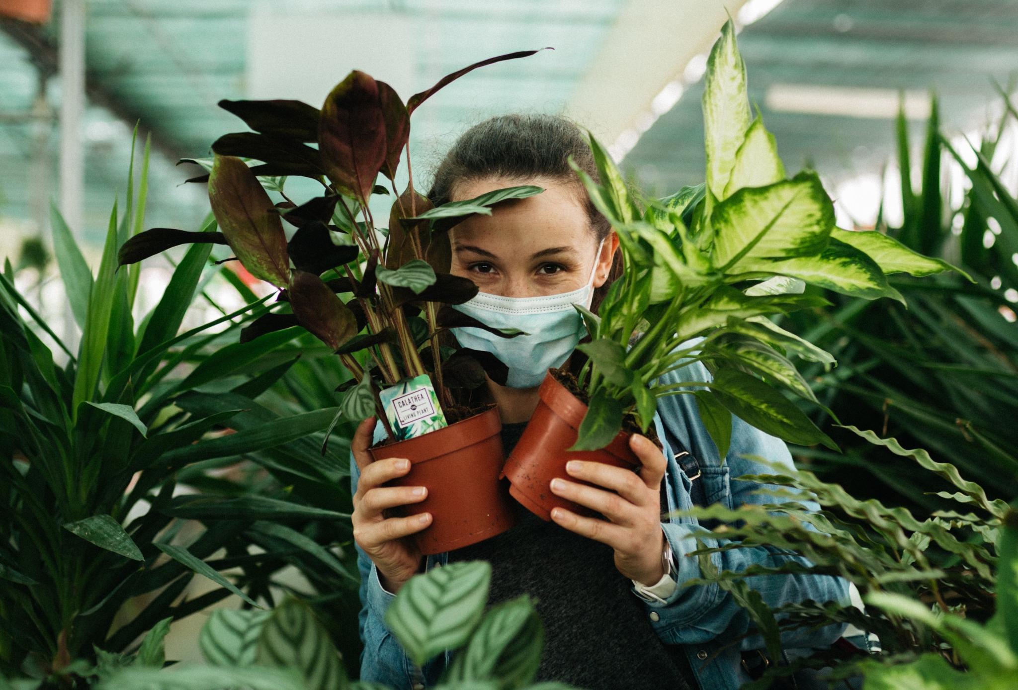 Discovery splash banner for Houseplants! Discord server