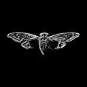 Discovery splash banner for CicadaSolvers Discord server