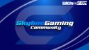 Discovery splash banner for Skyline Gaming Community LLC. Discord server