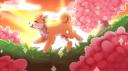 Discovery splash banner for Shiba ♡ サーバー     Social & Anime Discord server