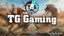 Discovery splash banner for TG Gaming Discord server
