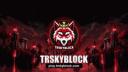 Discovery splash banner for TRSkyblock | play.trskyblock.com Discord server