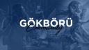 Discovery splash banner for GökBörü Community Discord server