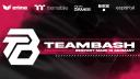 Discovery splash banner for TeamBasH Gaming Discord server