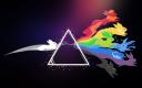 Discovery splash banner for Discord do Camaleão 🦎🏳🌈 Discord server