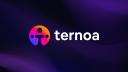 Discovery splash banner for Ternoa Discord server