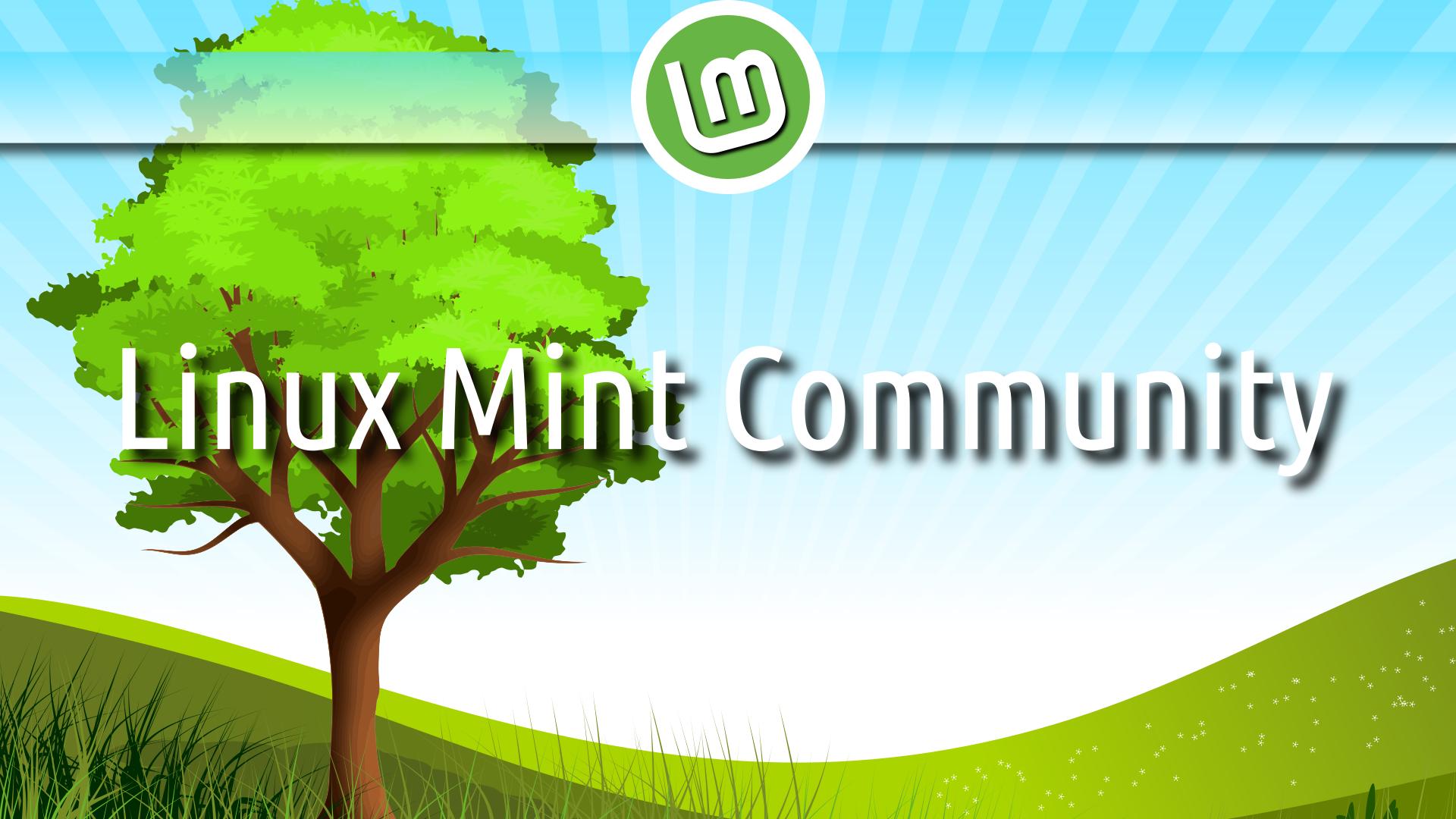 Discovery splash banner for Linux Mint Community🍵 Discord server