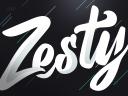 Discovery splash banner for ZestySolutions Discord server