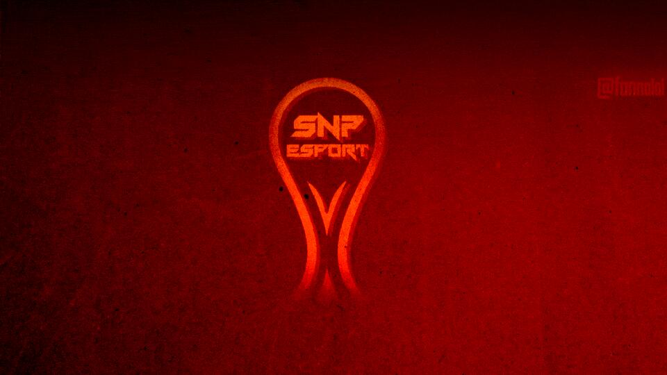 Discovery splash banner for SnP Esport Battlefield Discord server