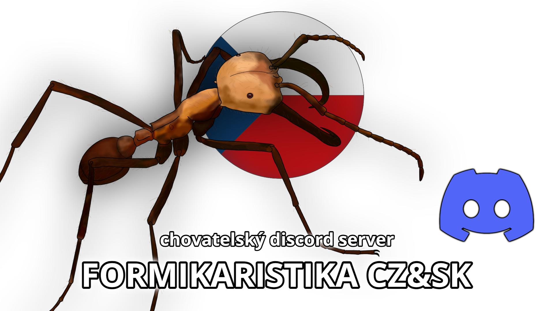 Discovery splash banner for Formikaristika CZ&SK Discord server