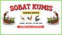 Discovery splash banner for SOBAT KUMIS Discord server