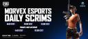 Discovery splash banner for MORVEX ESPORTS Discord server