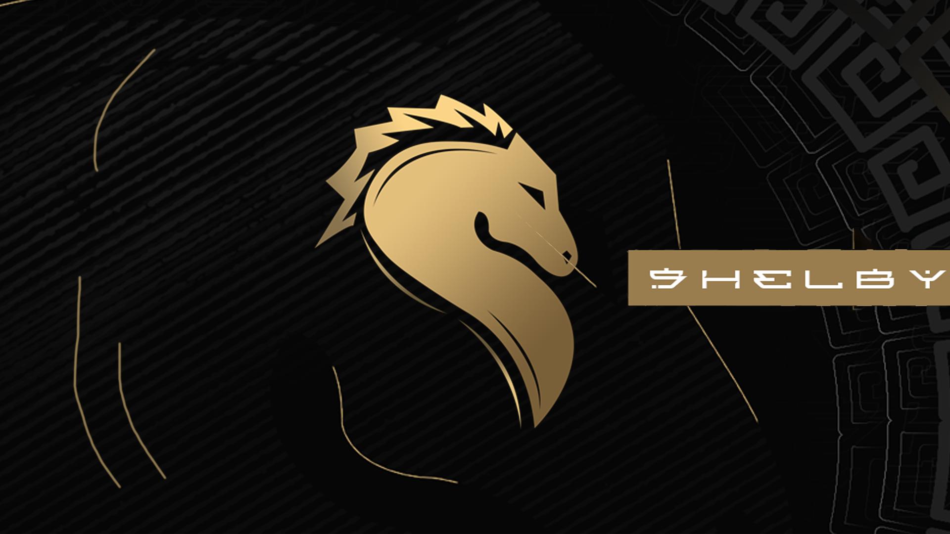Discovery splash banner for Shelby Discord server