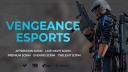 Discovery splash banner for Vengeance Esports Discord server