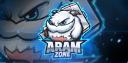 Discovery splash banner for ARAM ZONE Discord server