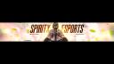 Discovery splash banner for SPIRIT X ESPORTS Discord server