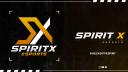 Discovery splash banner for SPIRIT X ESPORTS Discord server