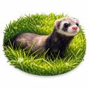 Discovery splash banner for Mustelid Manor Discord server