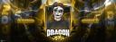 Discovery splash banner for DRAGON GAMING Discord server