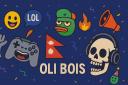 Discovery splash banner for OLI BOIS Discord server