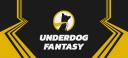 Discovery splash banner for Underdog Discord server