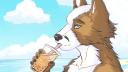Discovery splash banner for Furry FR Discord server