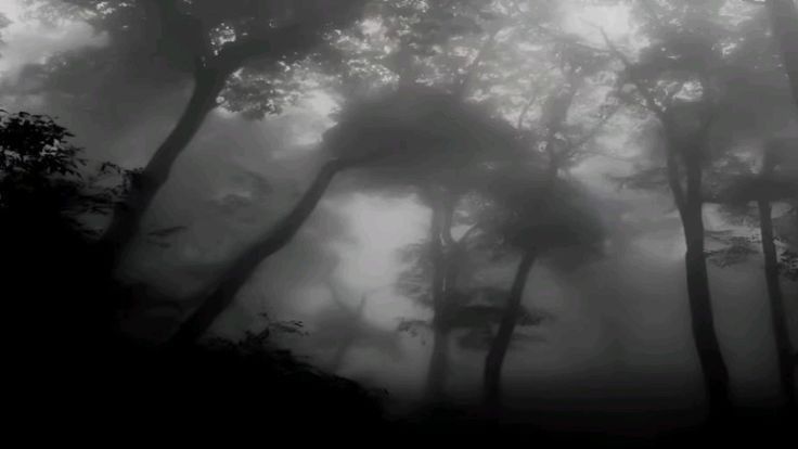 Discovery splash banner for Mundo Ilusório Discord server