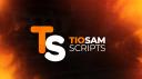 Discovery splash banner for 🚀 TioSam Scripts Discord server