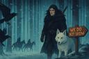 Discovery splash banner for PureASOIAF Discord server