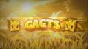 Discovery splash banner for Grow A Garden Trading Server | Steal a Brainrot Discord server