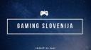 Discovery splash banner for GAMING SLOVENIJA Discord server