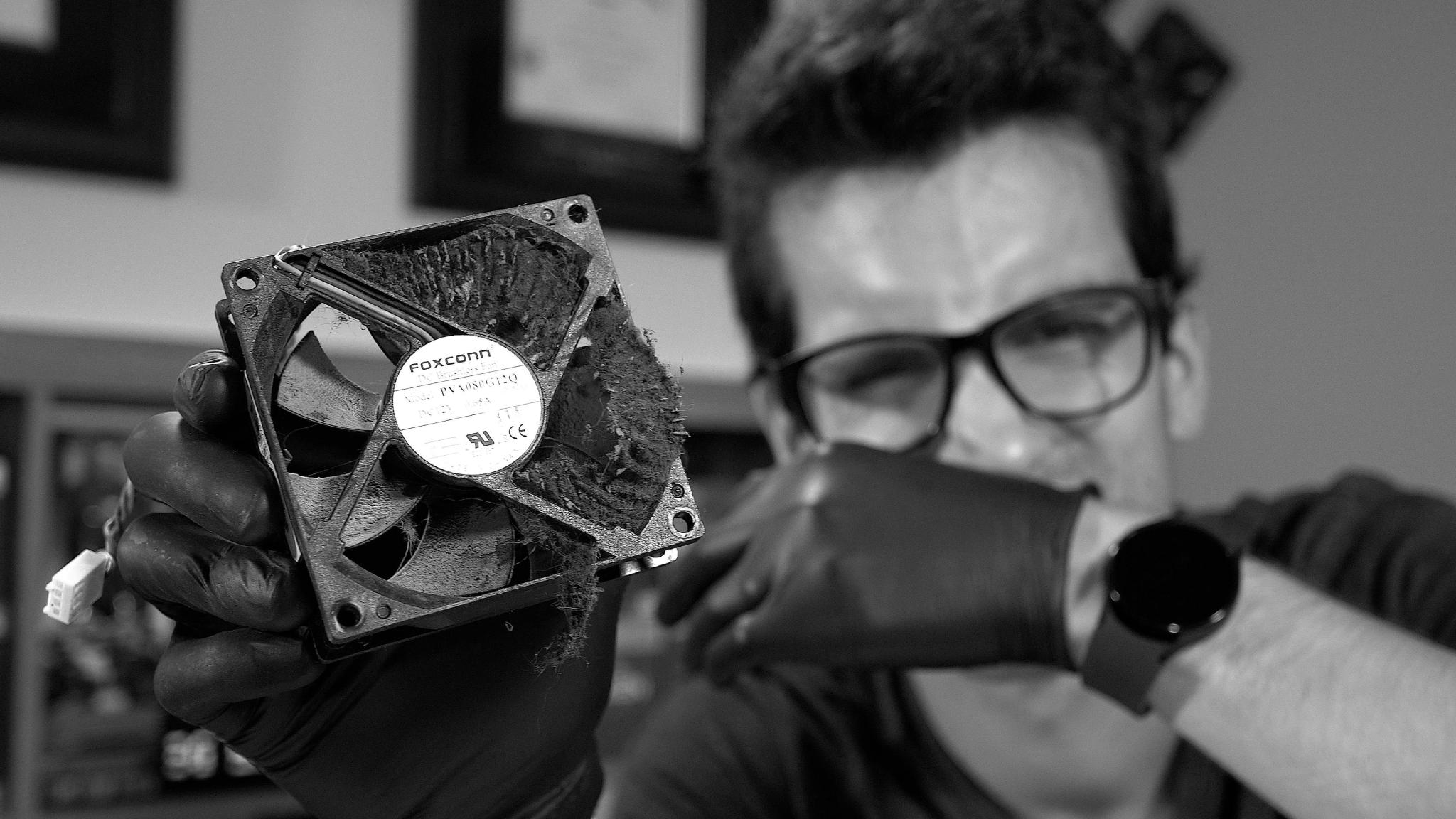 Discovery splash banner for The Archive Discord server