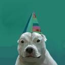 Discovery splash banner for Los Pibardos Discord server