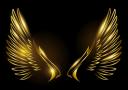 Discovery splash banner for !Wings CS:GO Trading Discord server