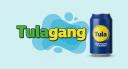 Discovery splash banner for 🧉TULA GANG🧃 | Chile・Argentina・Colombia・México・Español・Latam Discord server