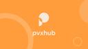 Discovery splash banner for pvxhub 🎃 Party service Discord server