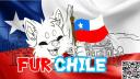 Discovery splash banner for 🐾𝓕𝓾𝓻𝓒𝓗𝓘𝓛𝓔🇨🇱 Discord server