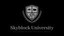 Discovery splash banner for Skyblock University Discord server
