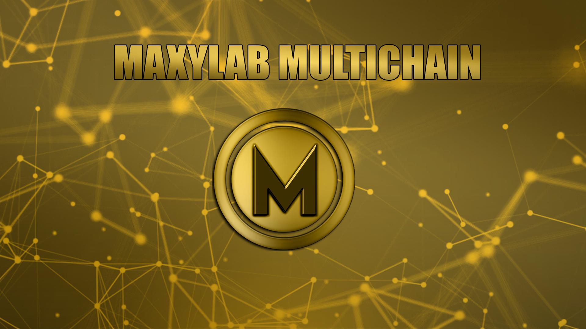 Discovery splash banner for Maxylab Multichain Discord server