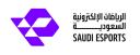 Discovery splash banner for Saudi Esports Federation Discord server
