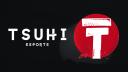 Discovery splash banner for TSUHI ESPORTS Discord server