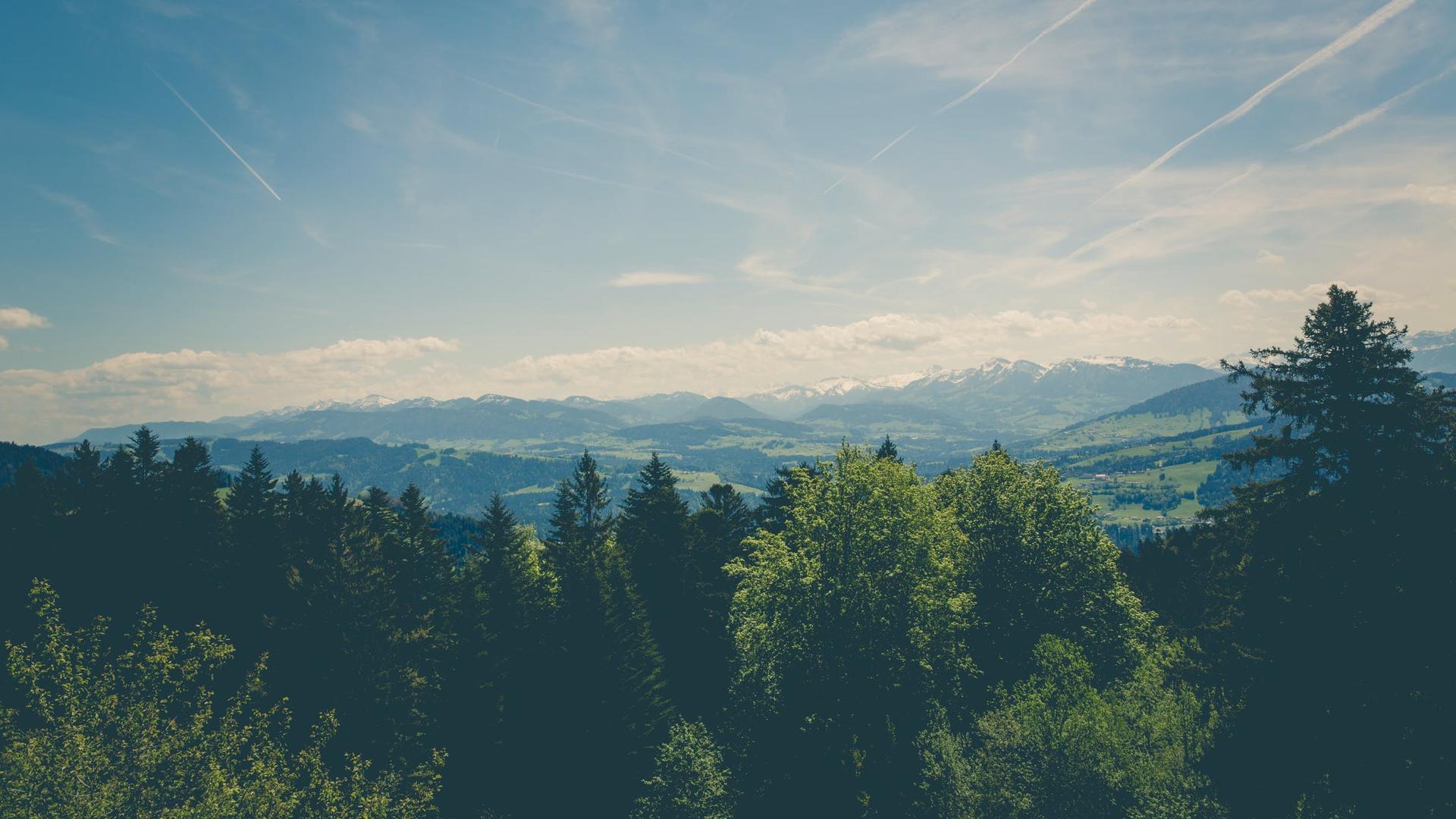 Discovery splash banner for Comunidade Escoteiros Discord server