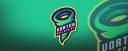 Discovery splash banner for Balkan Vortex Roleplay Discord server