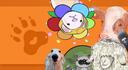 Discovery splash banner for Tierfreunde Vegan 💚 Discord server