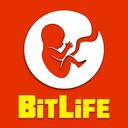 Discovery splash banner for The BitLife Community Discord server