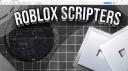 Discovery splash banner for Roblox Scripters Discord server