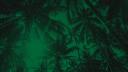 Discovery splash banner for SE Palmeiras • TRADIÇÃO Discord server